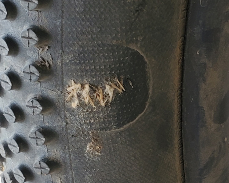 Read more about the article Can You Sew a Tire Back Together?